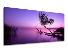Fali festmény PANORAMA WEST SLNKA 50x100 cm