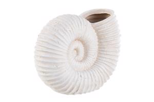 NAUTILUS fehér műgyanta dísztárgy