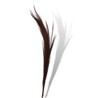 RUMPUT szárított levél dekoráció